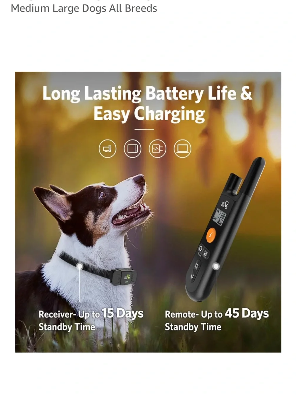 Black Remote & Collar Training System - Black